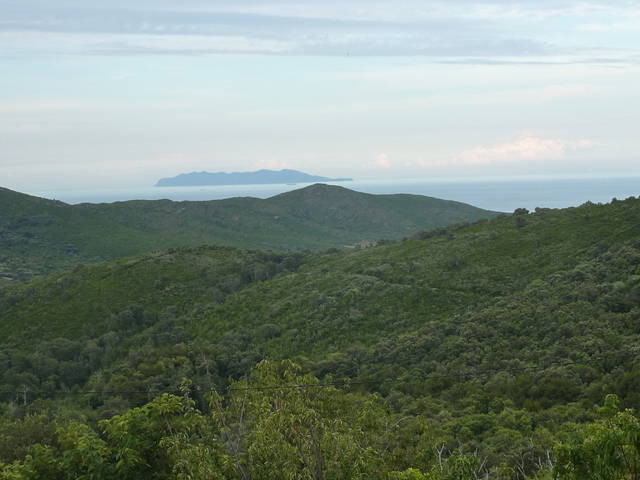 Ganzes Haus Cagnano 40958-3