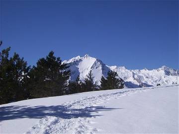 Logement Entier Arrens-Marsous 29838-5