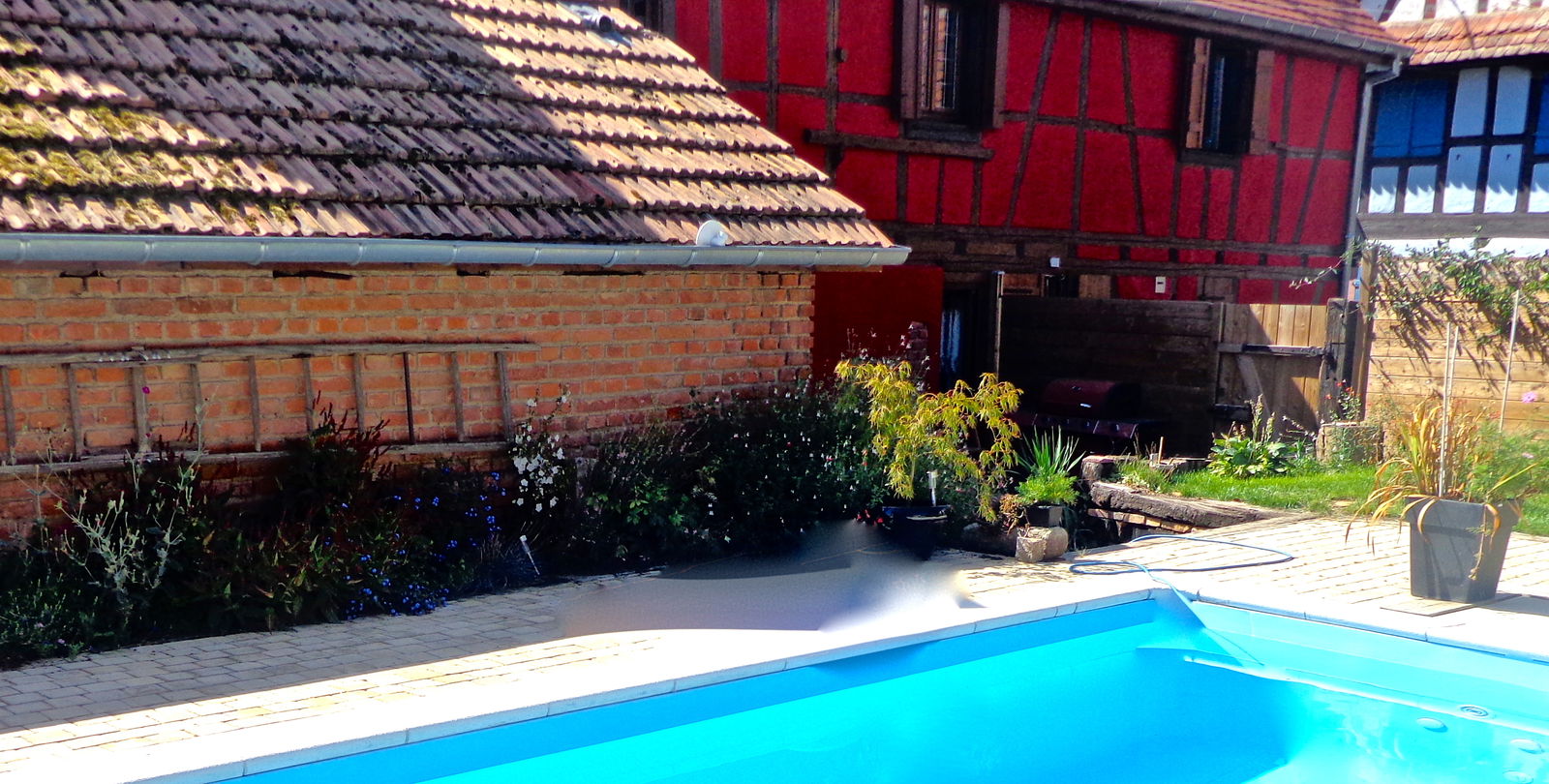 Independent Studio Olwisheim 155860