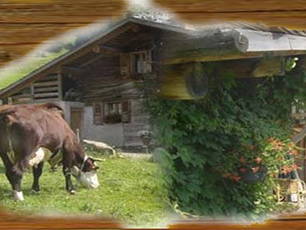 Homestay La Clusaz 66588