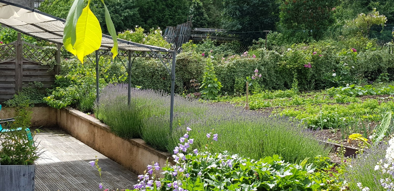 Ganzes Haus Thillot 158700