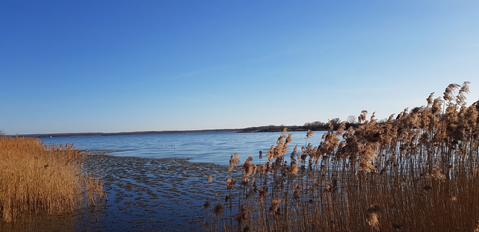 Ganzes Haus Thillot 158700