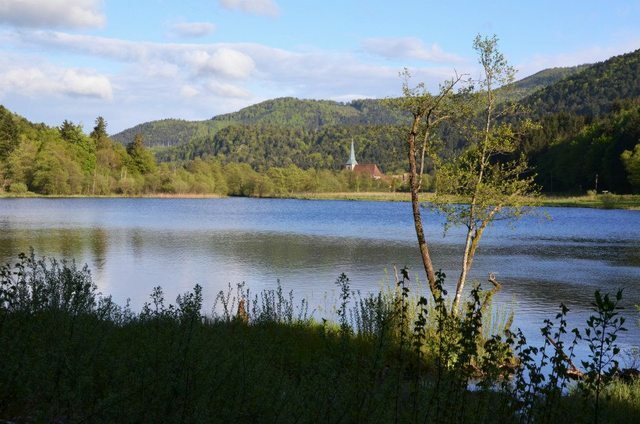 Cały Dom Sewen 57694