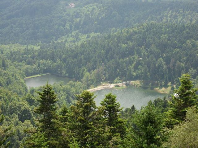 Cały Dom Sewen 57694