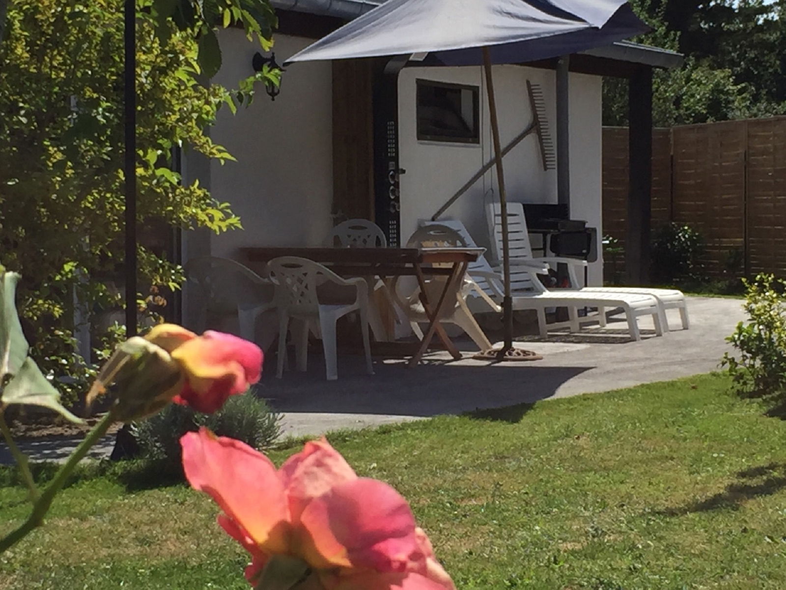 Famiglia Saint-Lunaire 145281