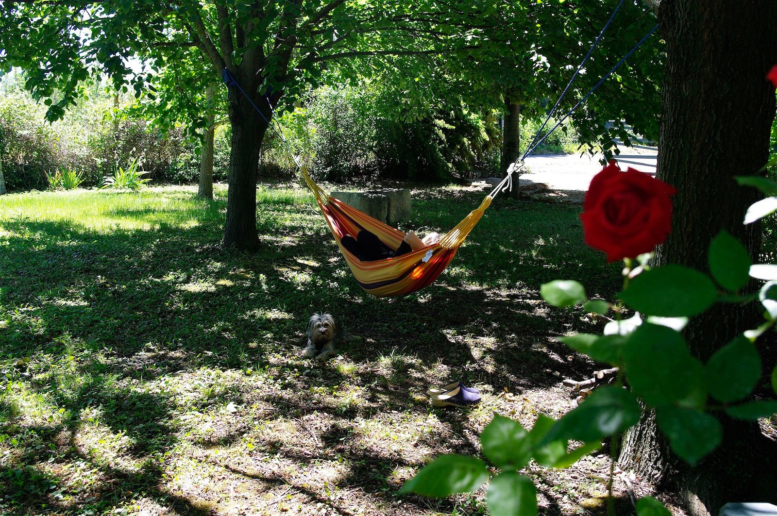 Gastgezin L'Isle-sur-la-Sorgue 137852