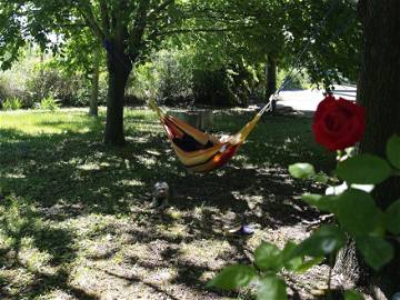 Chambre Chez L'habitant L'isle-Sur-La-Sorgue 137852-9