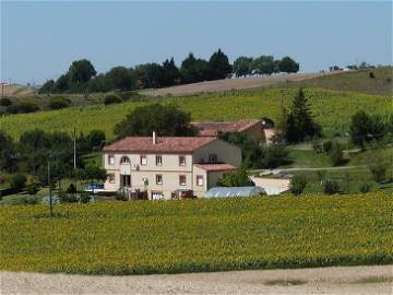 Roomlala | Gîte Du Moulin à 1/4h De Toulouse