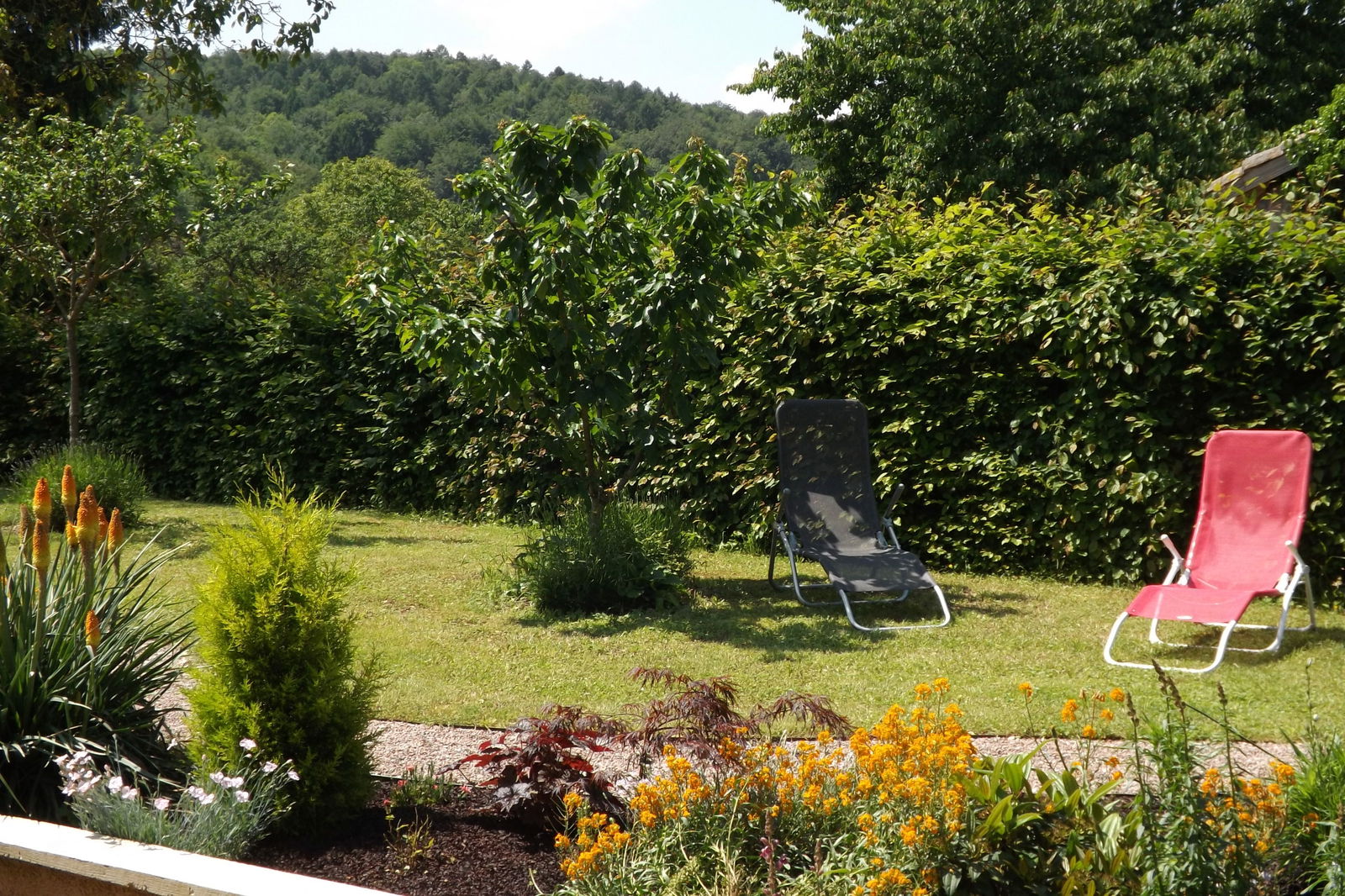 Unabhängiges Studio Thillot 137694
