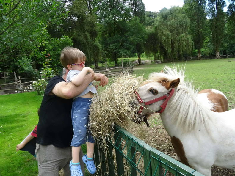 Gastekamers Mortagne-sur-Sèvre 188760-5