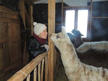 Logement Entier La Goute Du Rieux 103295-10