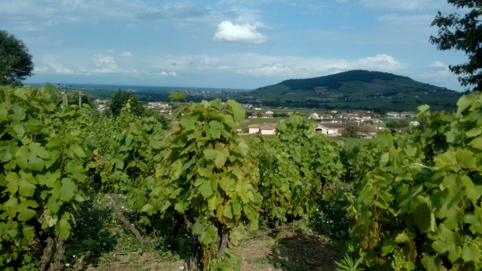 Onofhängeg Studio Quincié-en-Beaujolais 497688
