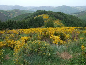 Logement Entier Issamoulenc 178927-7