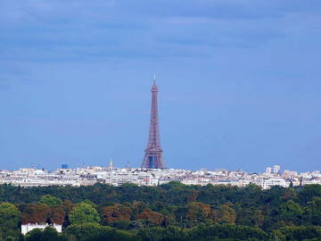 Chambre À Louer Suresnes 78653