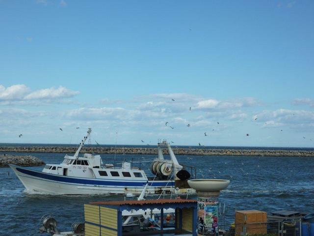 Pokoje Gościnne Port-la-Nouvelle 44126