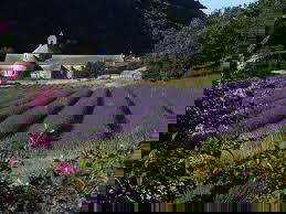 Tutta La Casa Villars 40700