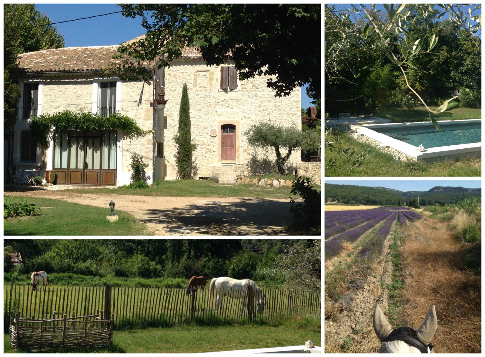 Tutta La Casa Bollène 90613