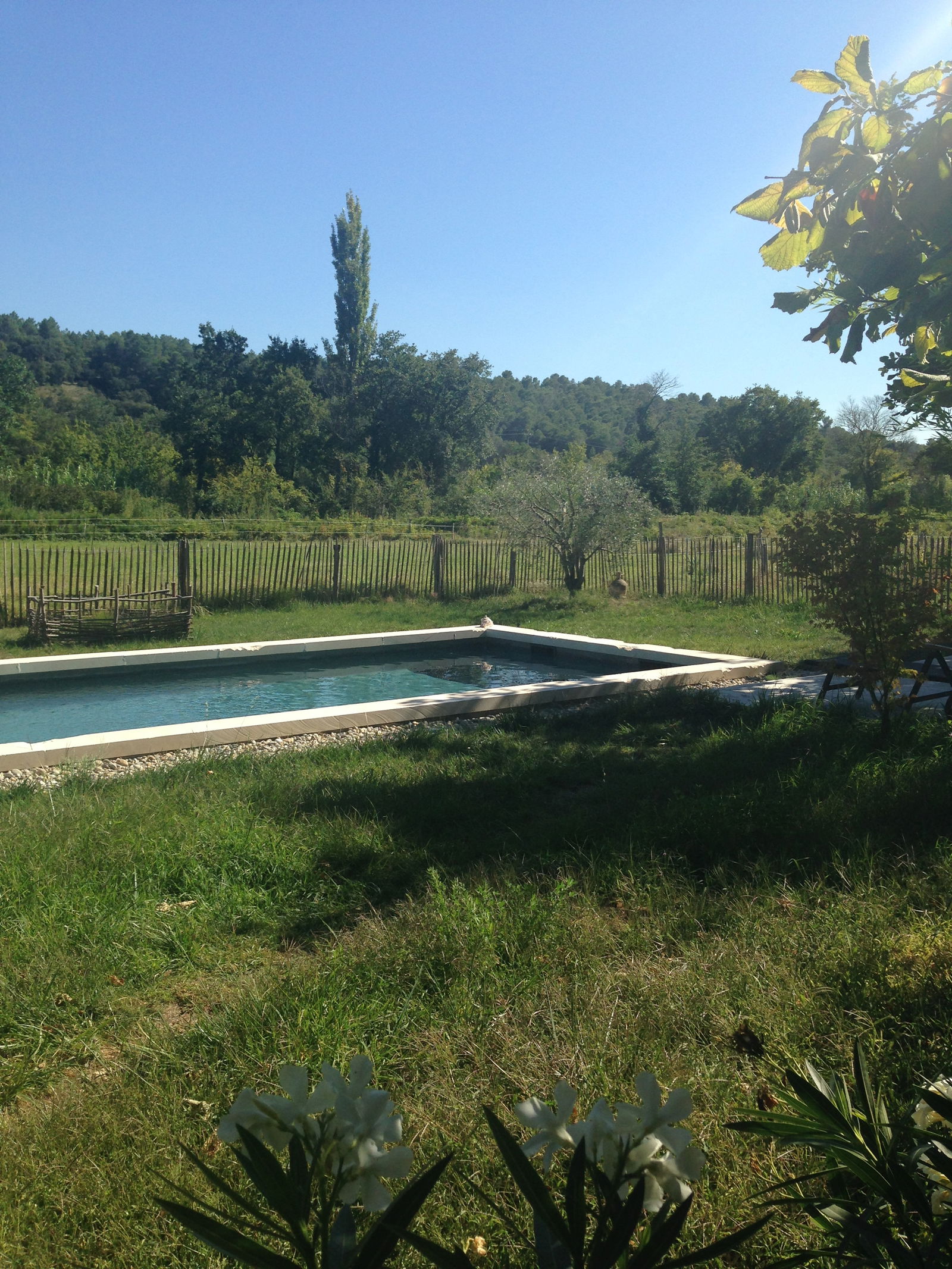 Tutta La Casa Bollène 90613