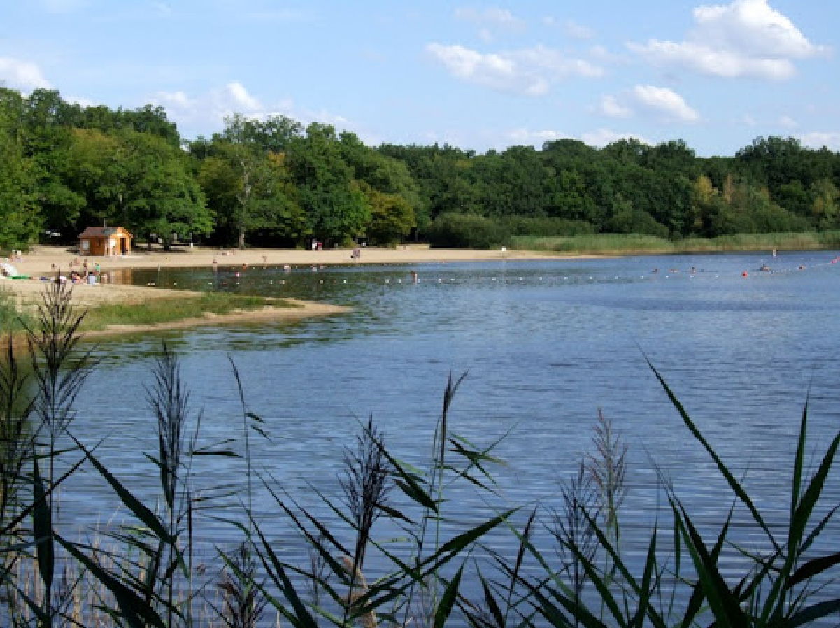 Tutta La Casa Lorris 45377