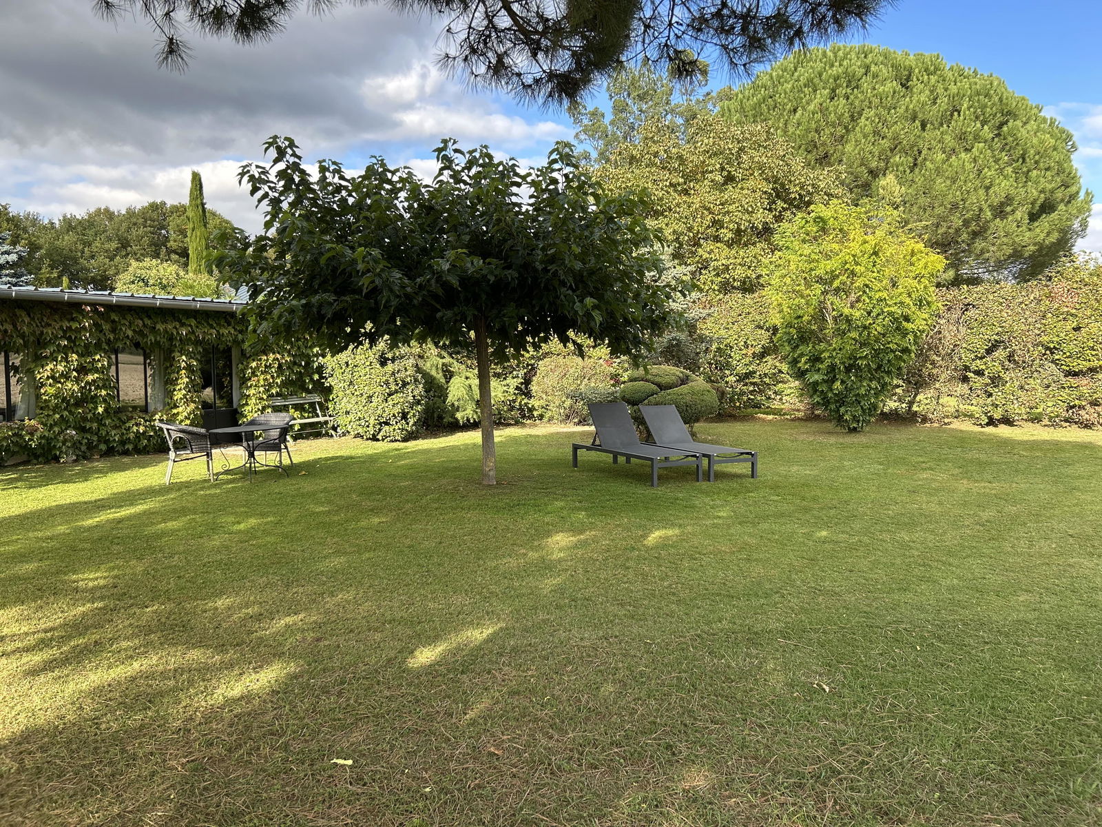 Tutta La Casa Lorris 45377