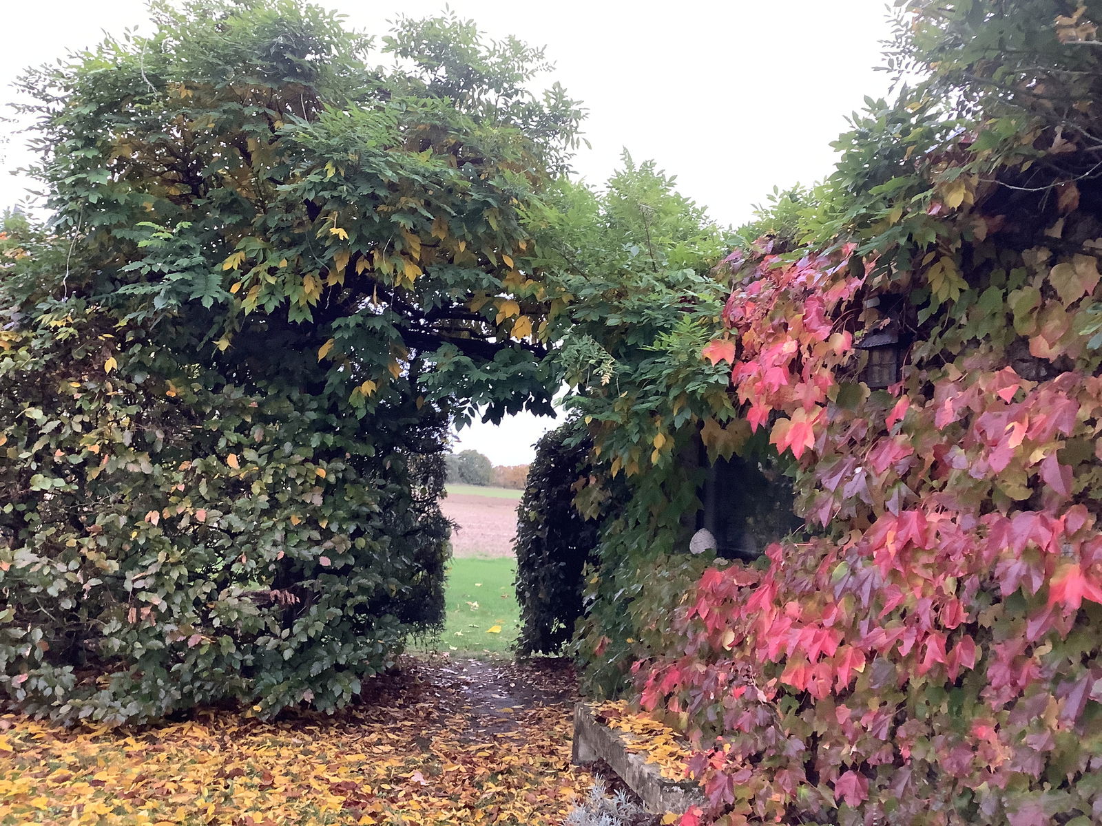 Ganzes Haus Lorris 45377