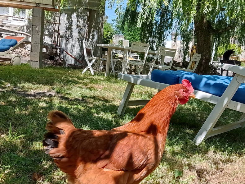 Entire Home Nonant 231357-3