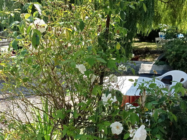 Entire Home Nonant 231357-5