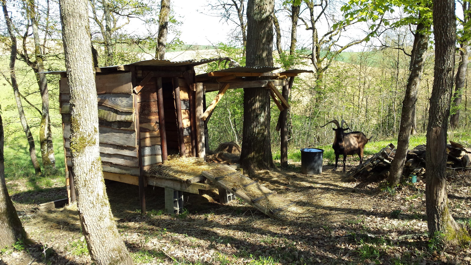 Pokoje Gościnne Maurens 158854
