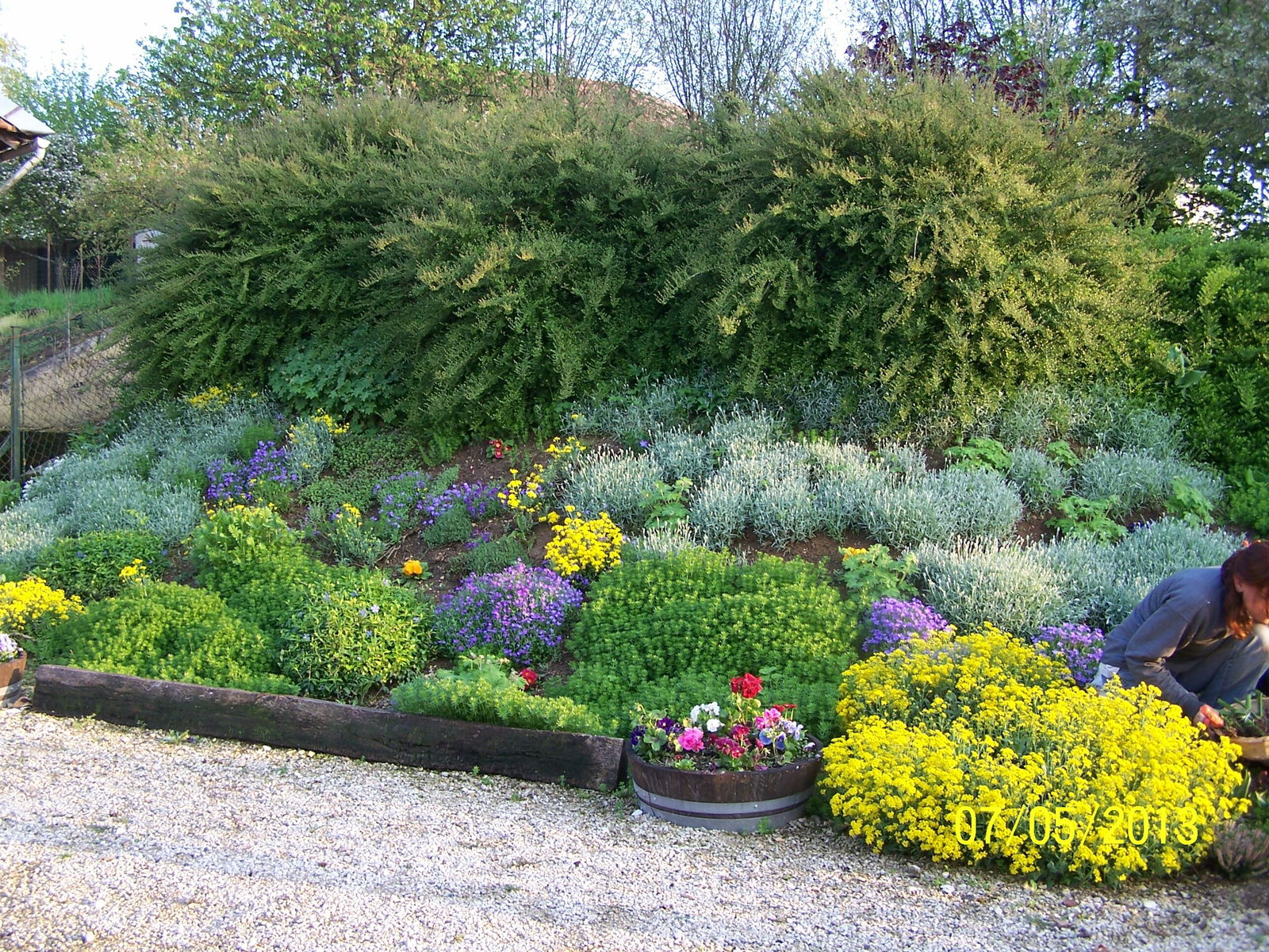 Estudio Independiente Bucey-en-Othe 145685