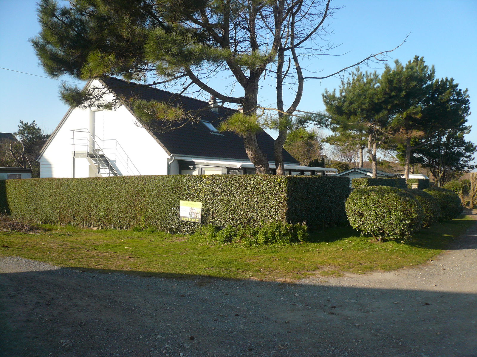 Independent Studio Camiers 255160