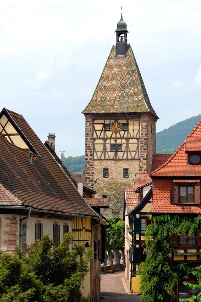 Independent Studio Bergheim 186122