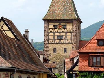 Logement Entier Bergheim 186122-8