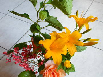 Logement Entier Bergheim 171013-9