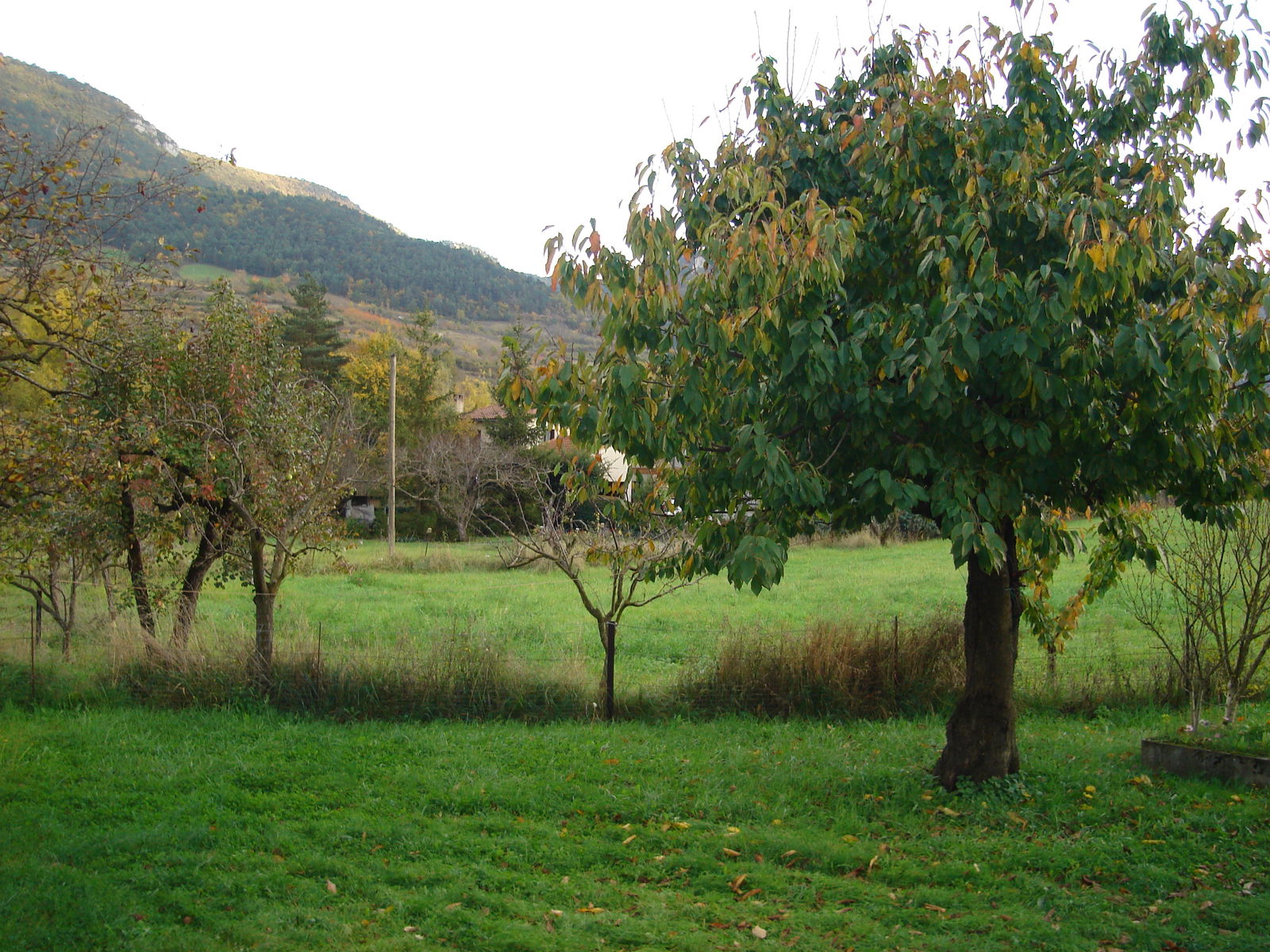 Estudio Independiente Rivière-sur-Tarn 156542