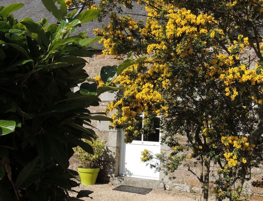 Tutta La Casa Ploumilliau 40204