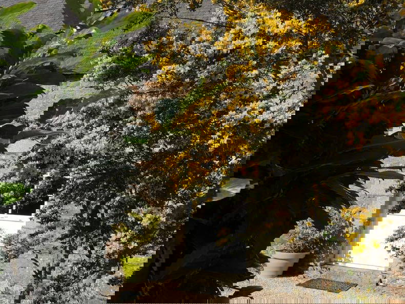 Entire Home Ploumilliau 40204-4