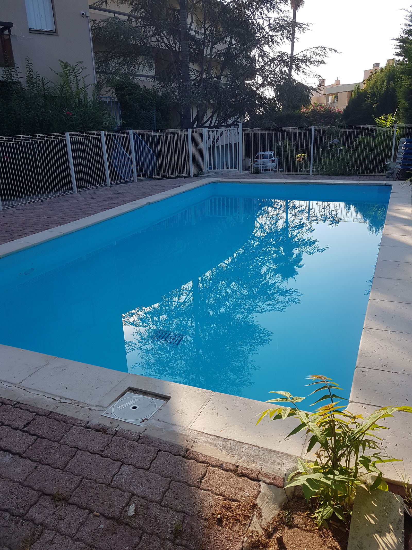 Uafhængigt Studie Nice 214146