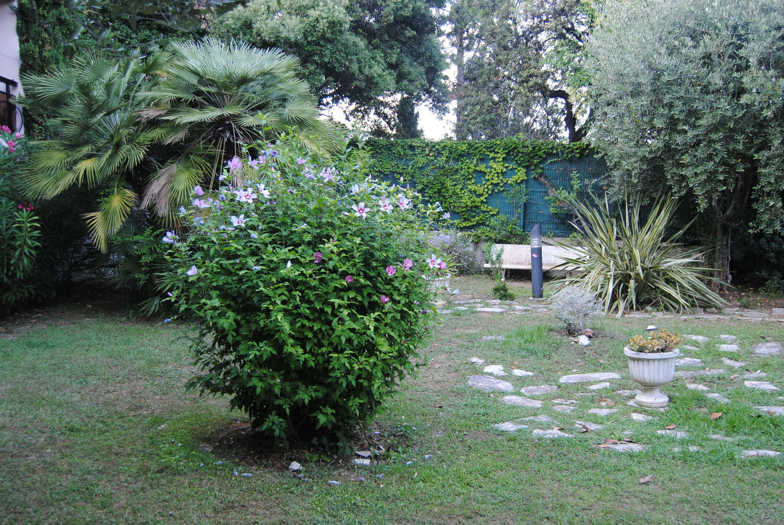 Unabhängiges Studio Nice 214146