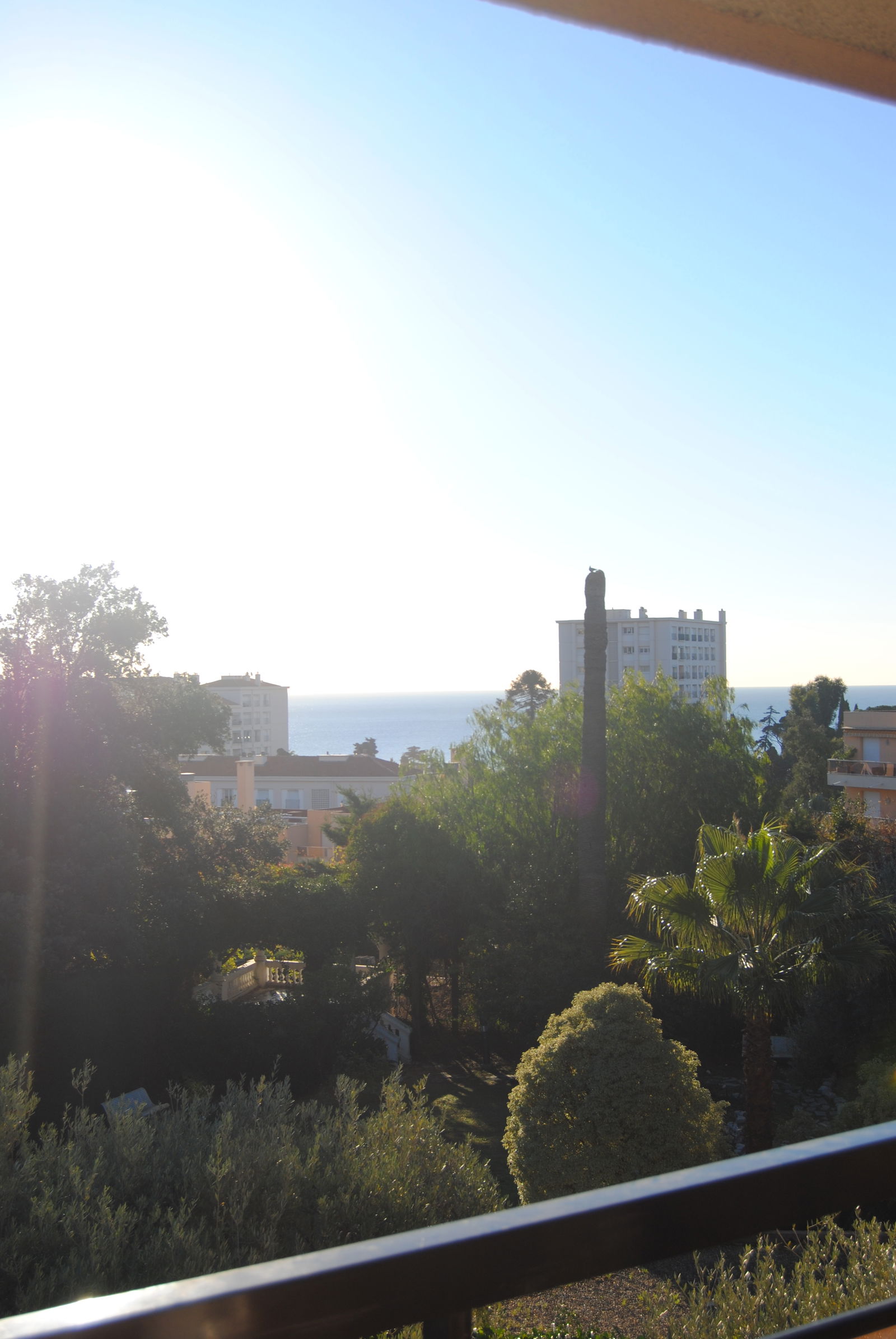 Independent Studio Nice 214146