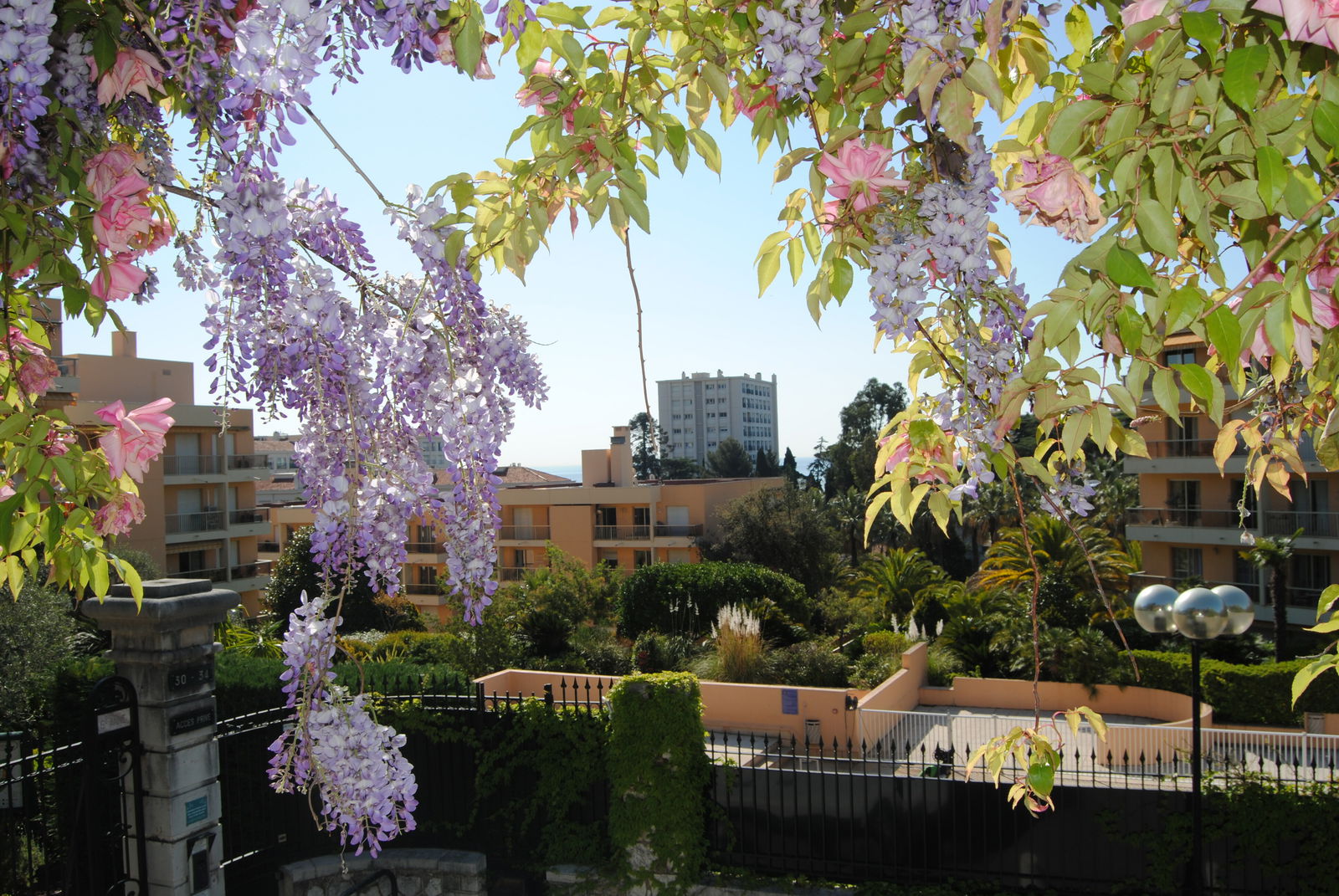 Onafhanklike Ateljee Nice 214146