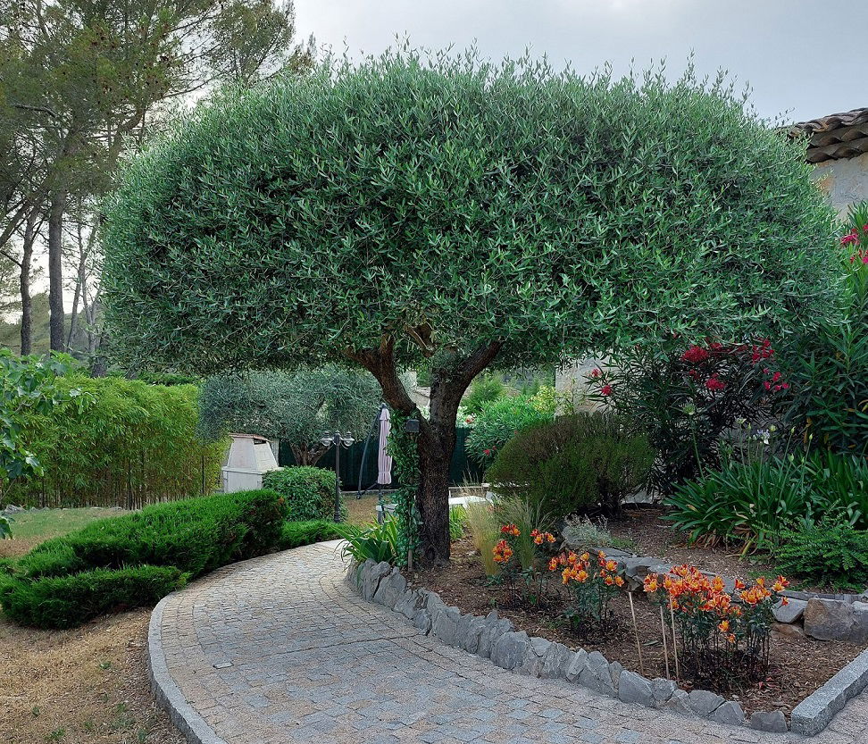 Casa Inteira Peymeinade 219847