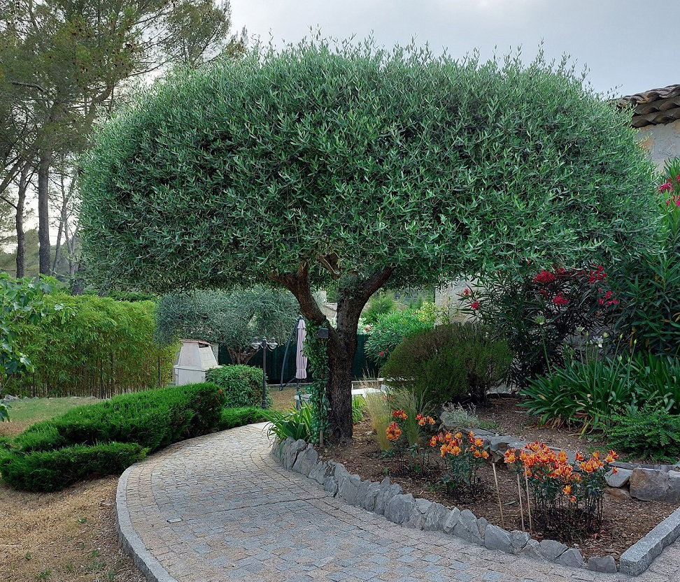 Tutta La Casa Peymeinade 219847