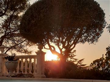 Logement Entier Peymeinade 219847-6