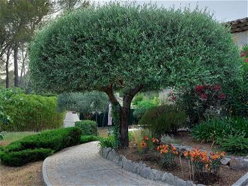 Logement Entier Peymeinade 219847-22