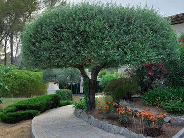 Coliving for rent in Peymeinade - photo 19: Garden-19