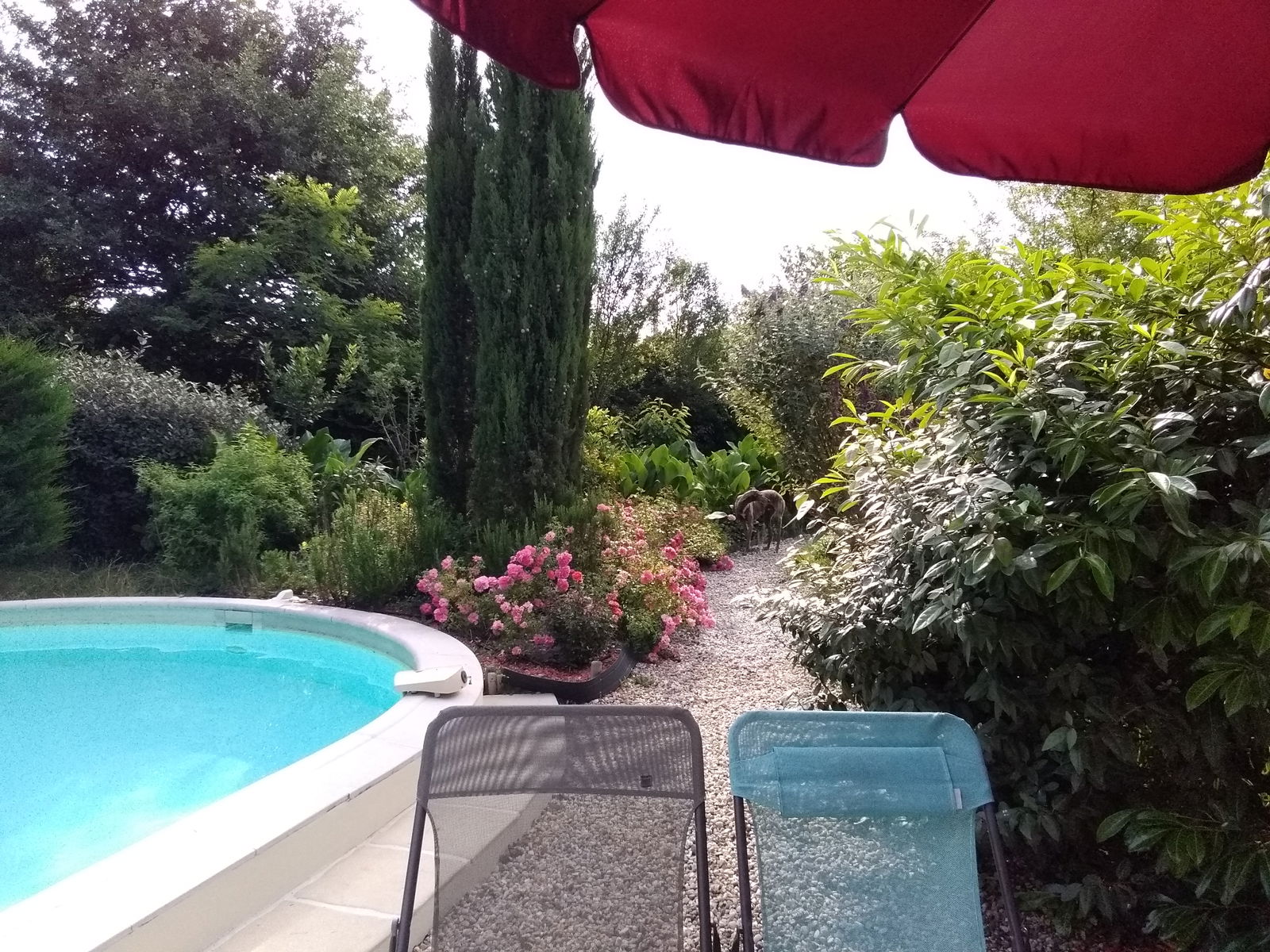 Oberoende Studio Arsac 308759