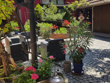 Logement Entier Olwisheim 154539-10