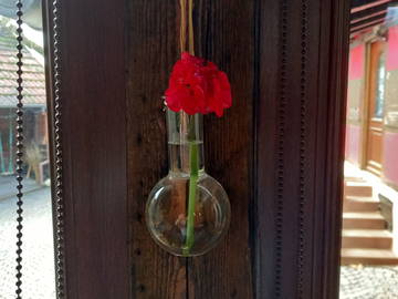 Logement Entier Olwisheim 249692-11