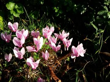 Studio À Louer Poitiers 114385-2