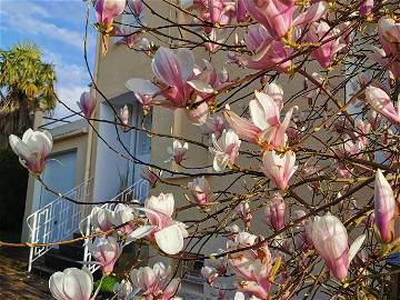 Logement Entier Poitiers 114385-16